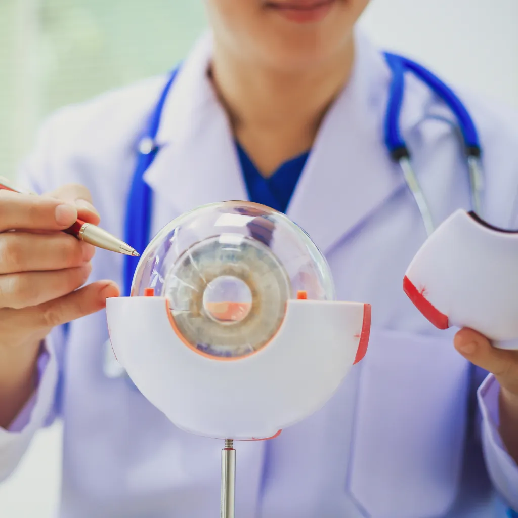 Ophthalmologist explaining monofocal and multifocal lens options to a patient